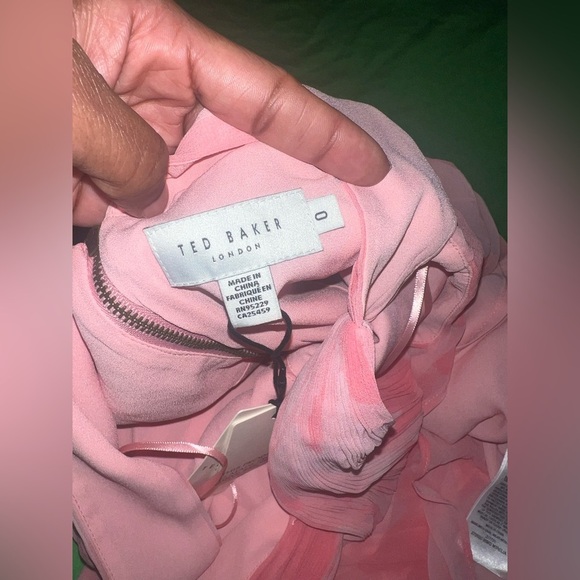 NWT Ted Baker London Elegant Pink Pleated Dress size 0 - Picture 4 of 8